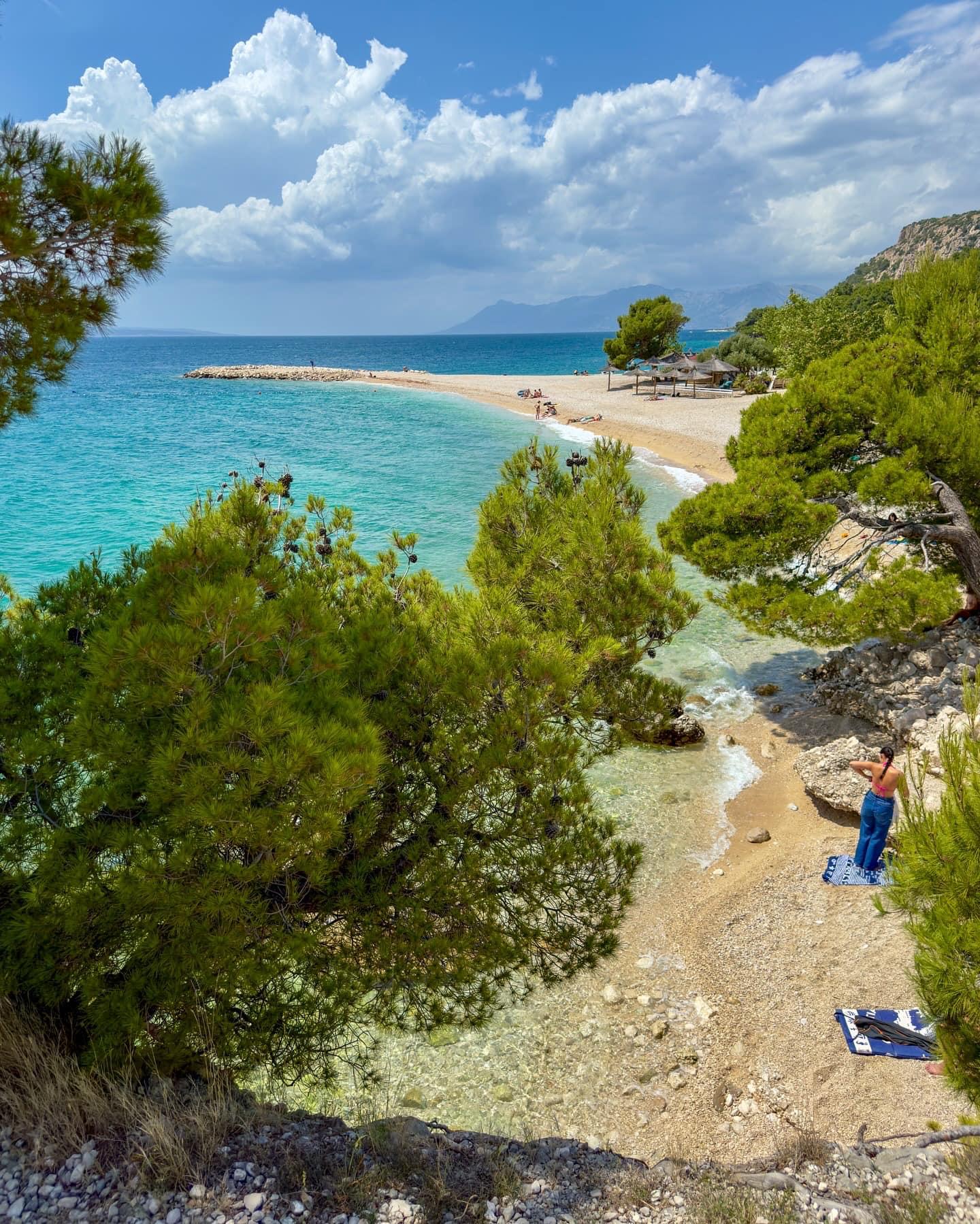 Survival Guide: The Battle for Space